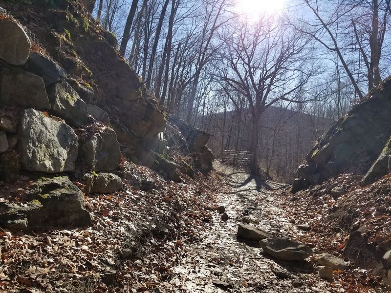 Trail Snacks and Outdoor Eating: Fueling Up for the Ridge