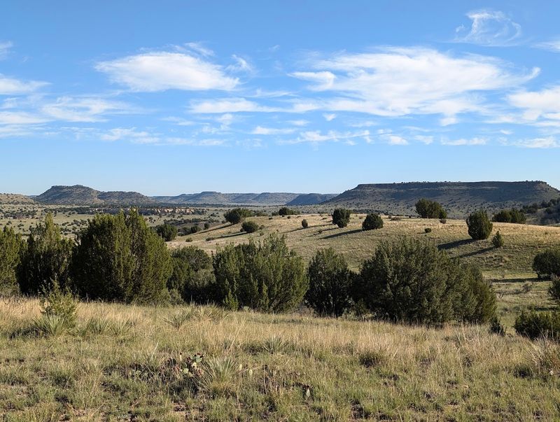 Practical Things Worth Knowing Before You Make the Drive