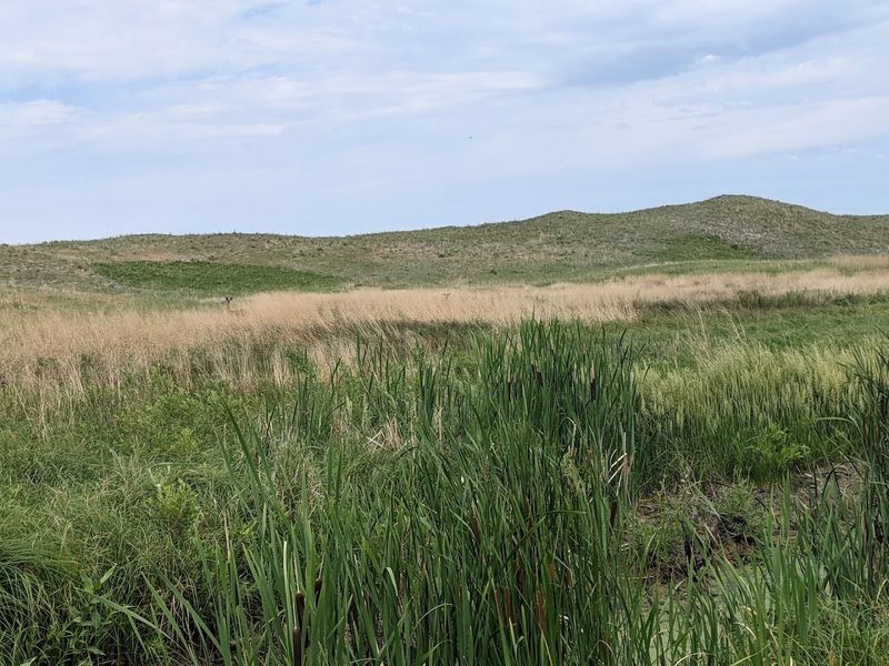 Real Sand Dunes You Can Actually See Up Close