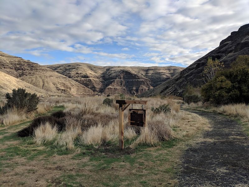 Practical Tips for Making the Most of Your Visit