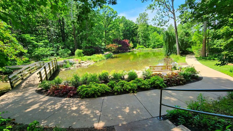 The Pond and Lowland Swale: A Quiet World Full of Wildlife