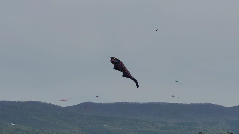 Plan Your Visit: Everything You Need to Know Before You Go