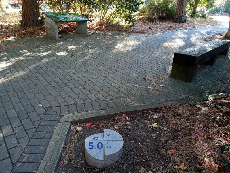 Benches, Breathing Room, and the Art of Slowing Down