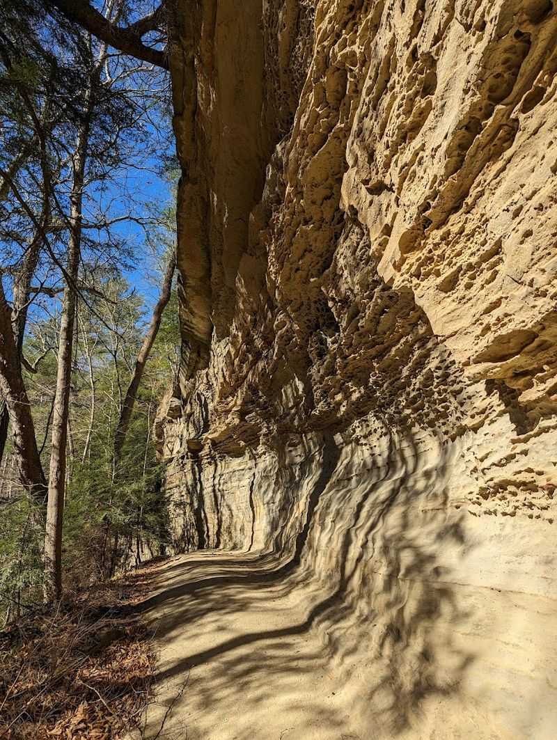 Nearby Shades State Park and Local Spots Make This a Full Day Worth Taking