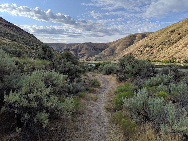 Hiking Trails That Suit Every Kind of Explorer