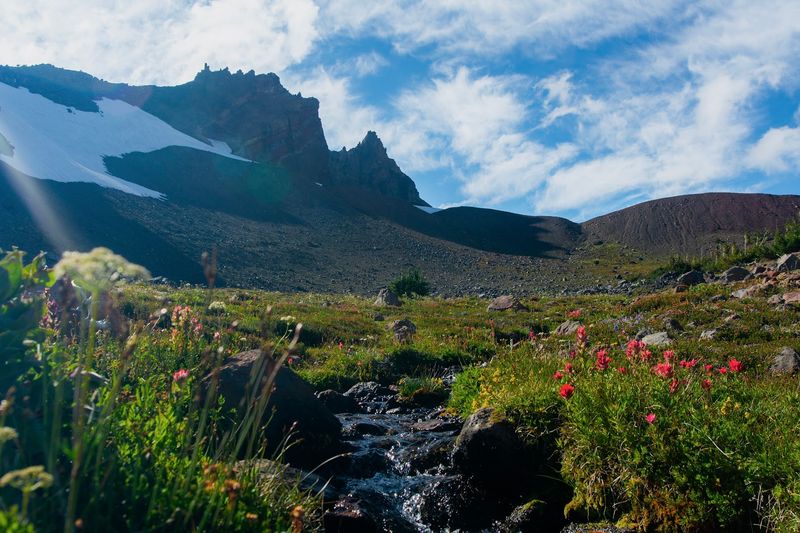 The Trail Itself: Steady, Scenic, and Surprisingly Well-Groomed