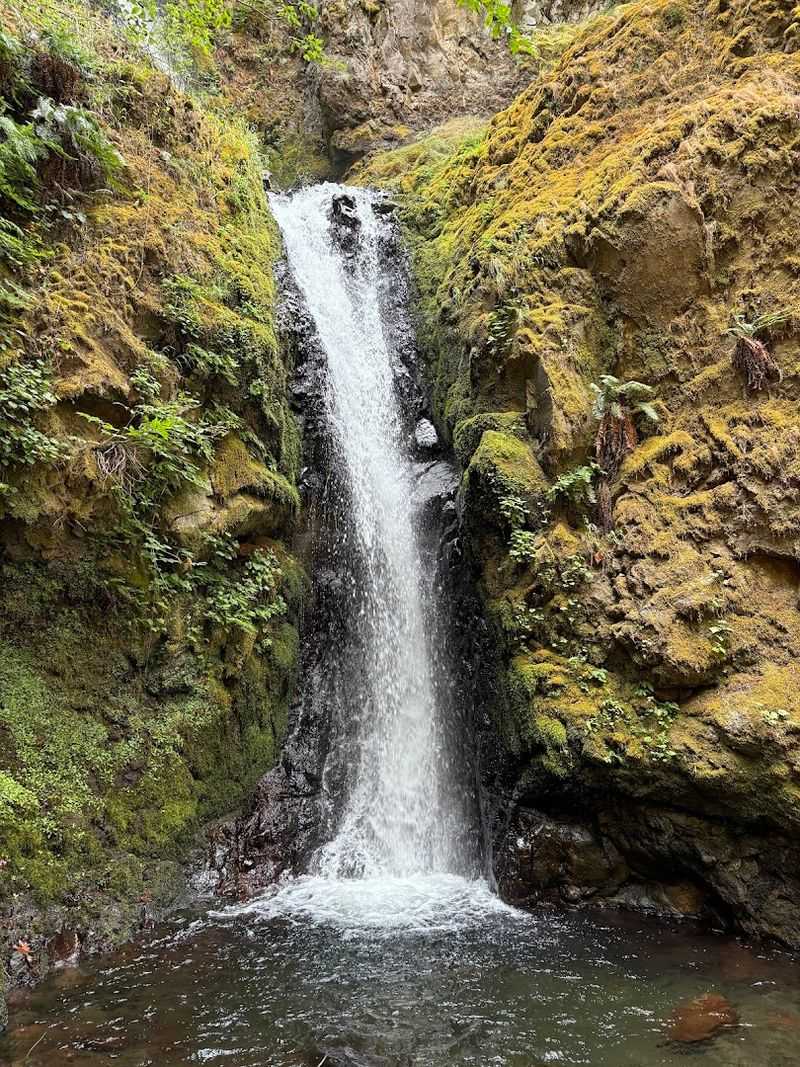 Cabin Creek Falls: The Quiet One Worth Slowing Down For