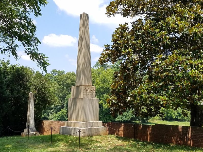 Trees That Watched History Unfold