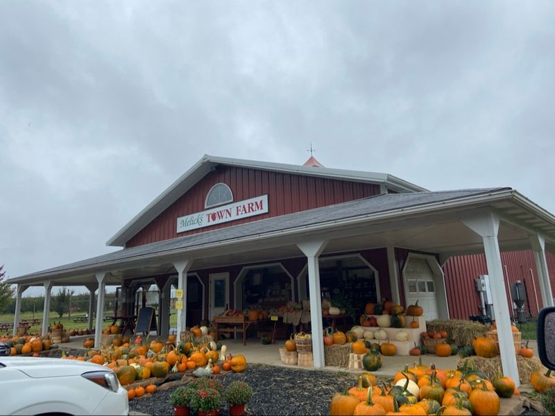 Melick's Town Farm