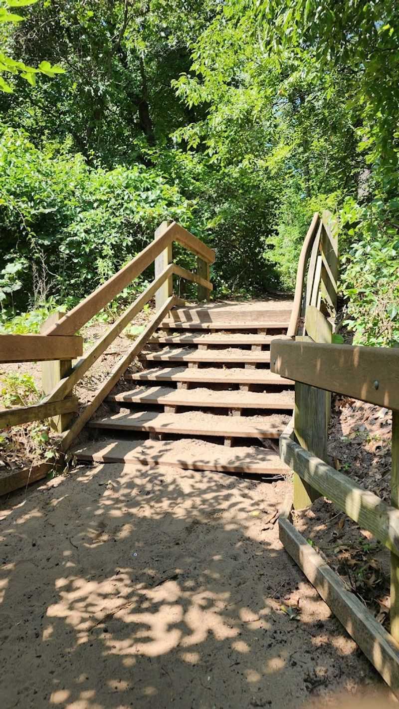 Nearby Attractions That Make the Trip Worth the Drive