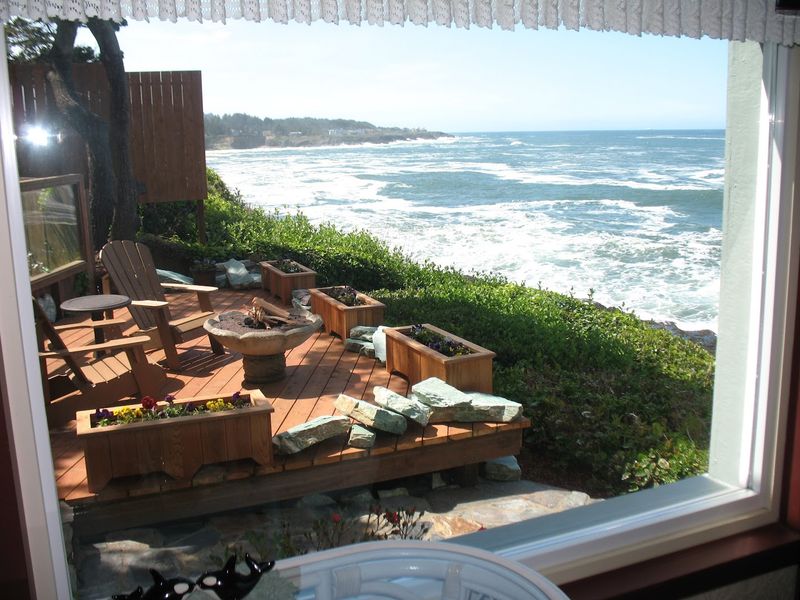 Waking Up to Whales Just Outside Your Window