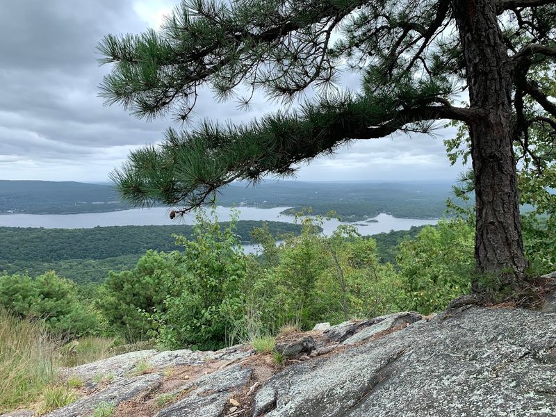 Wyanokie High Point (Norvin Green State Forest), New Jersey