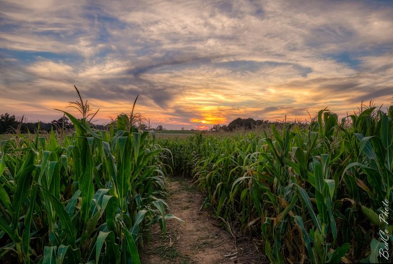 Finding Yoder's Farm and Planning Your Perfect Visit