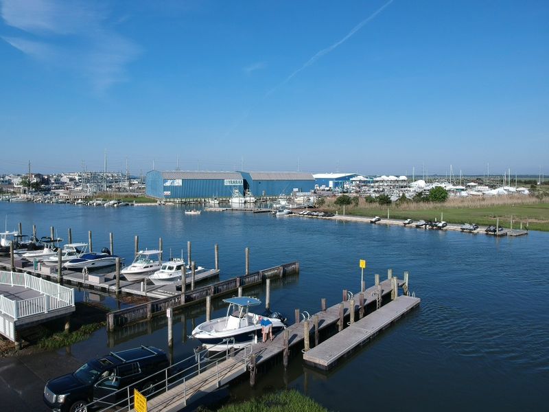 Fresh Seafood That Tastes Like the Ocean Itself