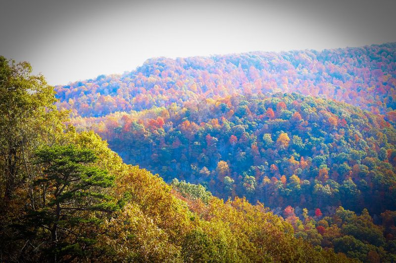 Fall Foliage Here Is Practically Illegal