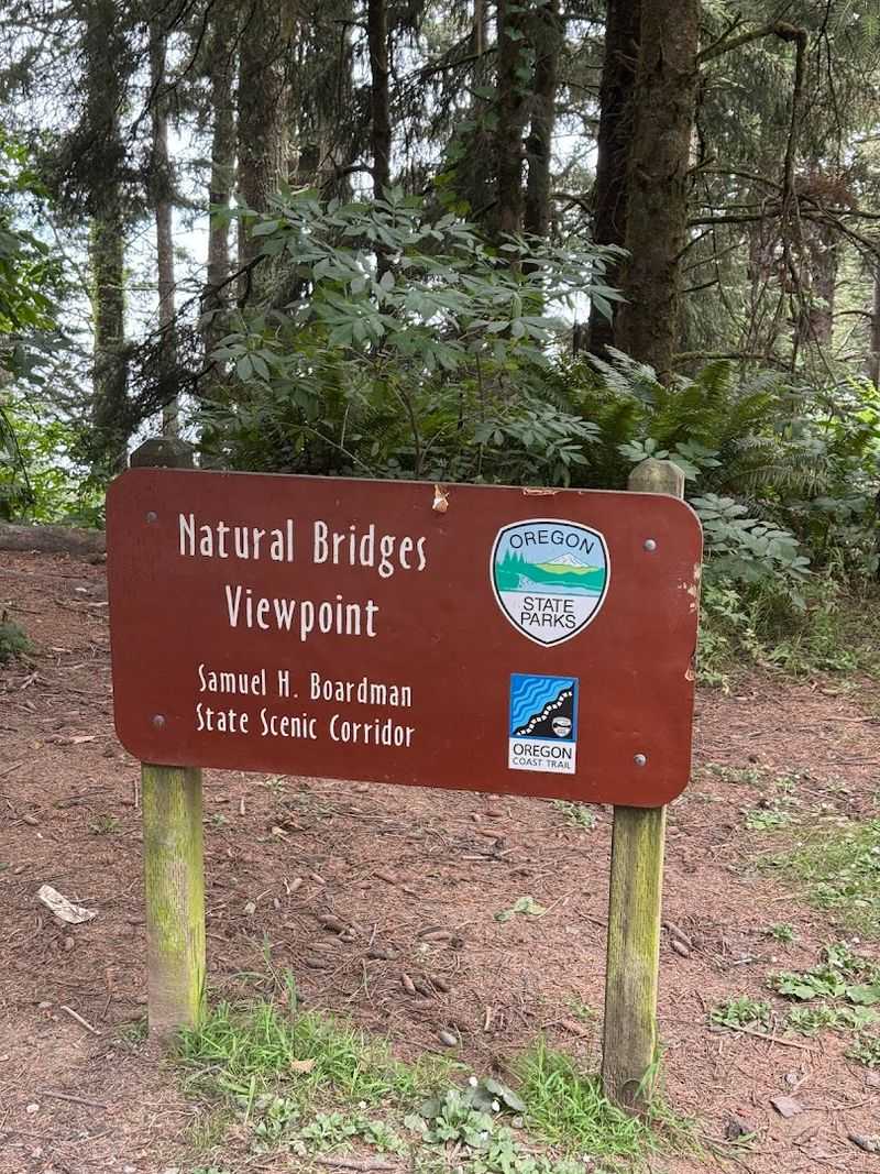 Parking Tips and Arrival Strategy