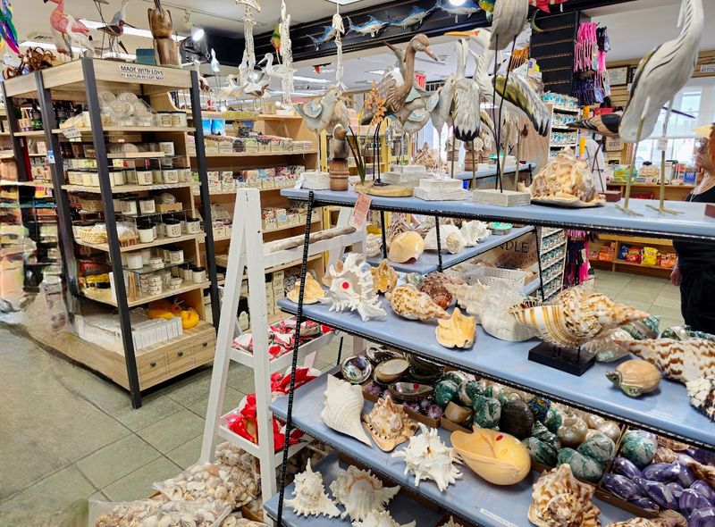Cape May Diamonds and Beachcombing Treasure