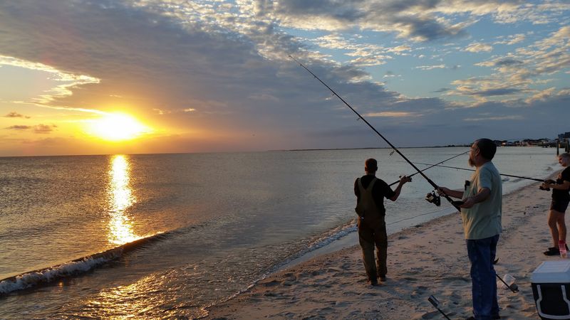 Fishing Off the Shore Like a Local