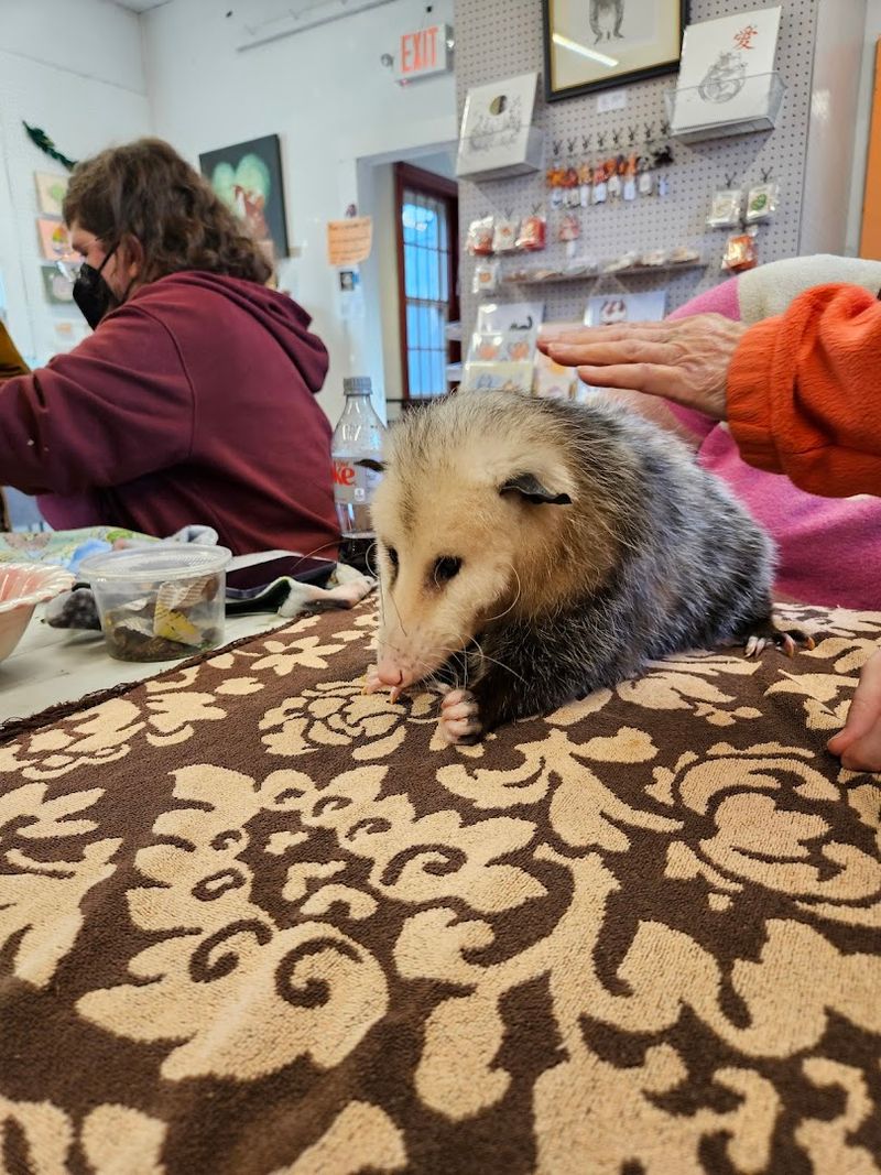 The Friendly And Knowledgeable Staff