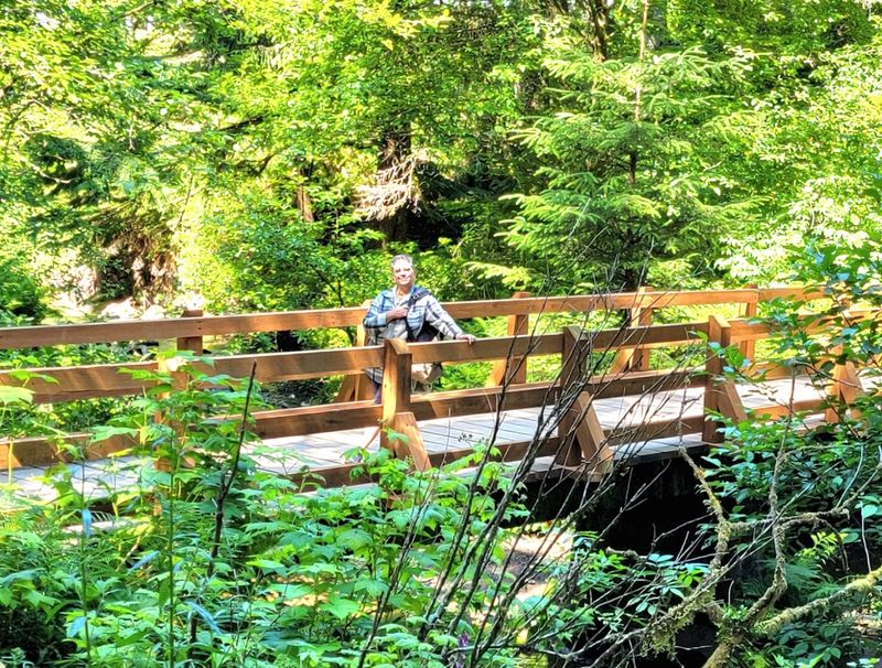 The Bridge Over the Creek: A Perfect Pause Point