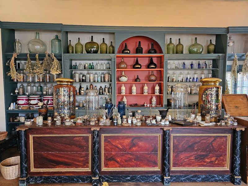 Herbal Remedies That Actually Worked (And Some That Definitely Did Not)