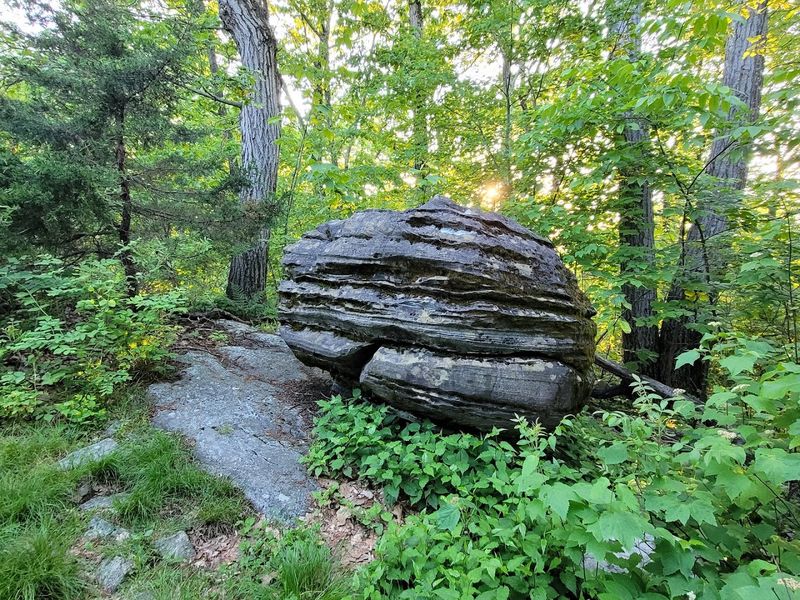 Jenny Jump State Forest