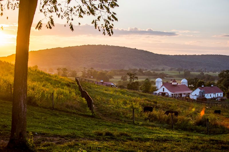 Sustainable Farming Practices Worth Celebrating