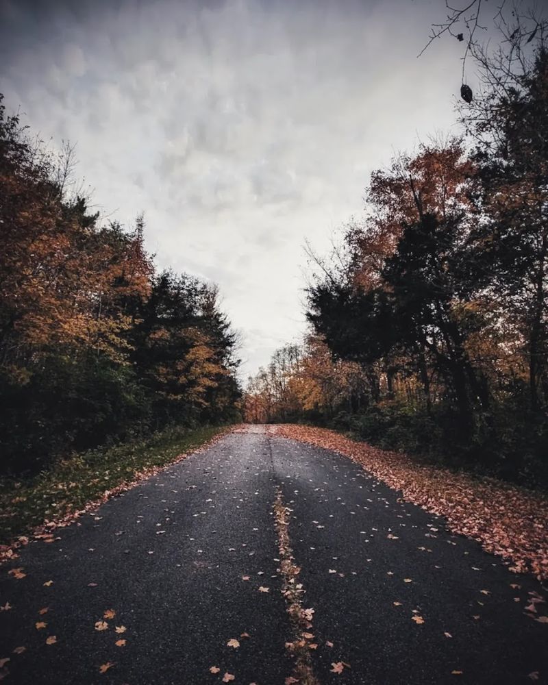 True Solitude Away From the Crowds