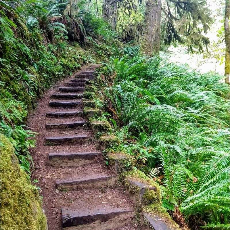 Trail Conditions and What to Watch For