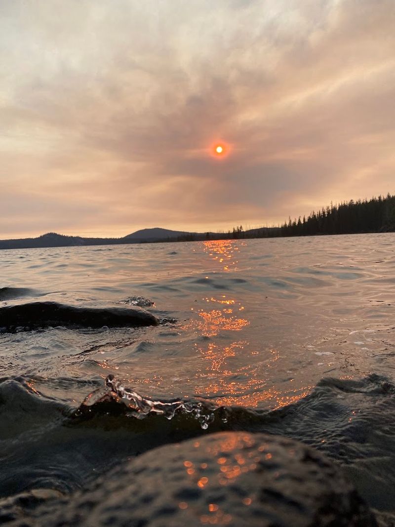 Mountain Biking Through Old-Growth Forest Terrain