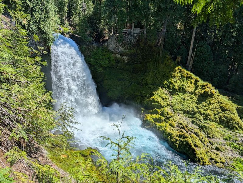 Sahalie Falls: Where the River Roars Loudest