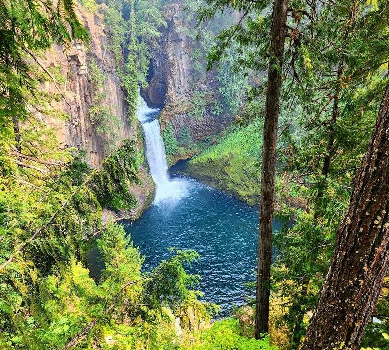 Toketee Falls Trailhead 