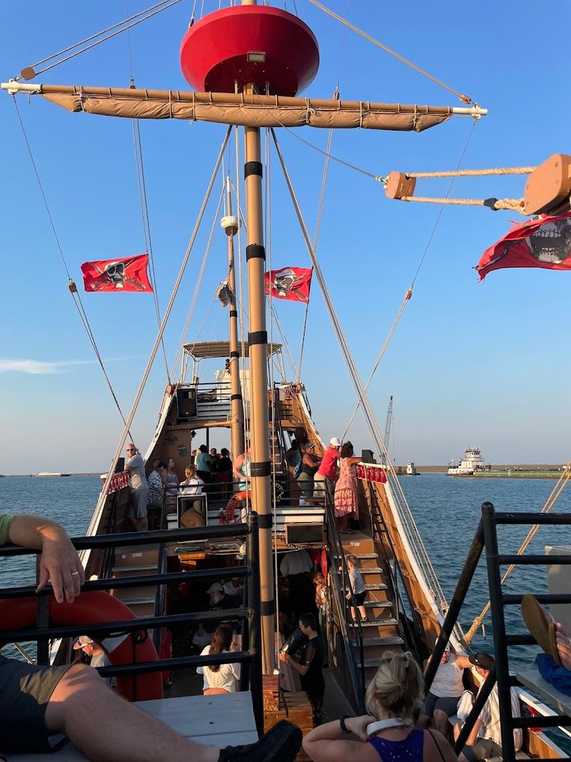 Dolphin Watching That Adds a Wild and Wonderful Surprise to the Trip