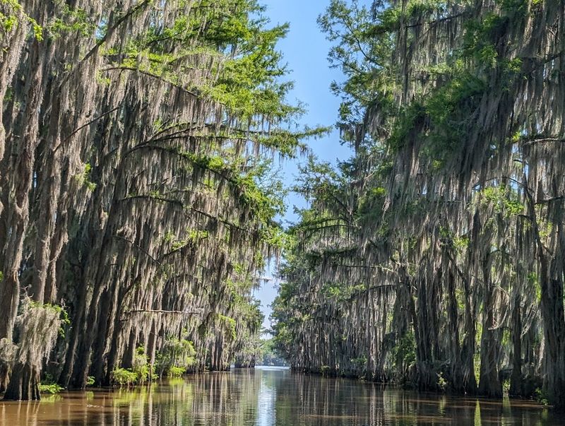 Caddo Lake