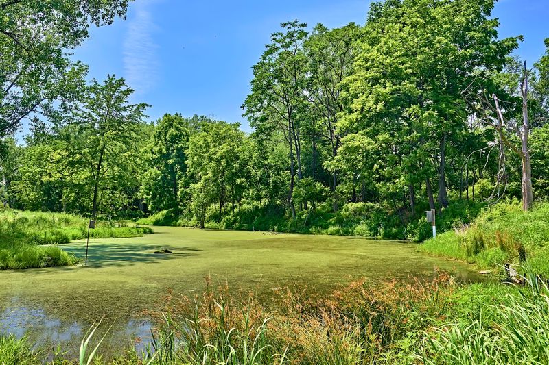 The Turtle Peace Labyrinth That Slows Everything Down