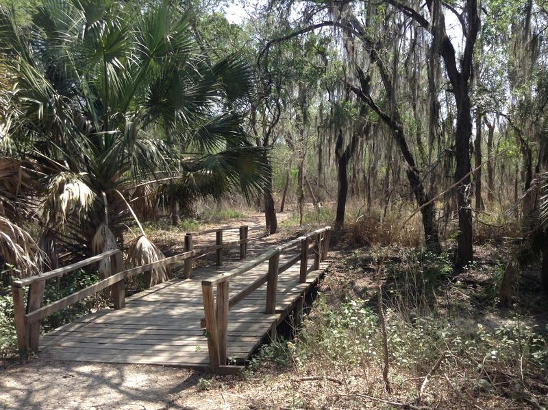 Birdwatching Paradise With Over 400 Species