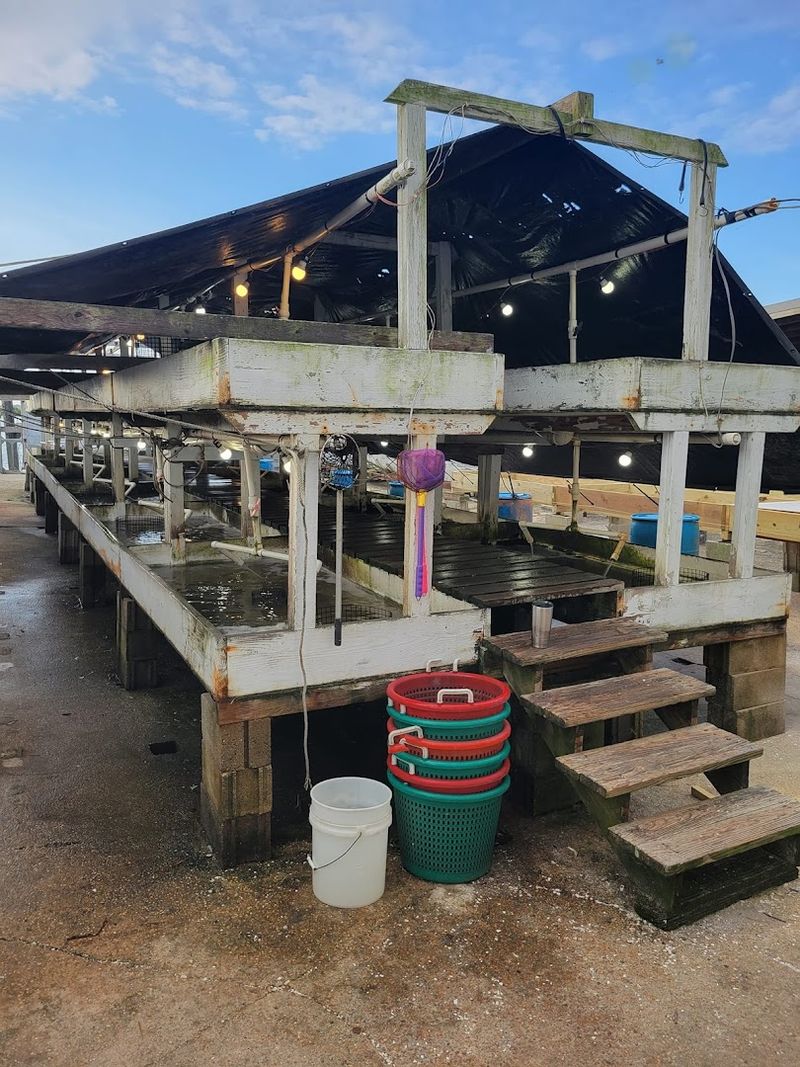 Fresh Seafood and the Flavors of Maurice River Country