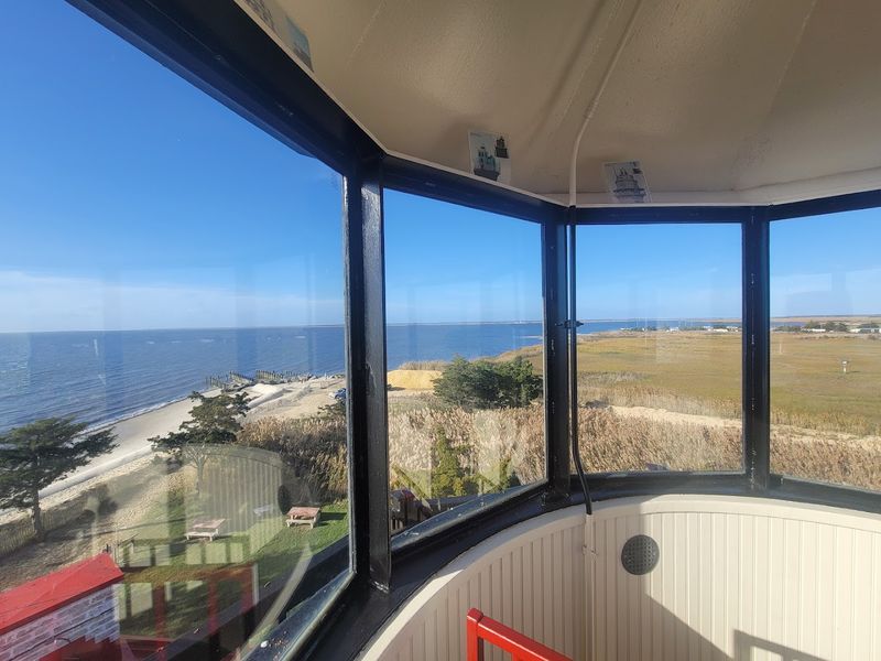 Birdwatching and Wildlife Along the Maurice River Marshes