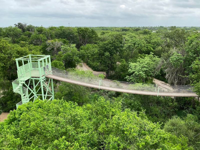 The 18-Foot-High Canopy Boardwalk
