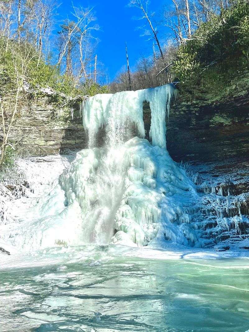 Seasonal Splendor Throughout the Year