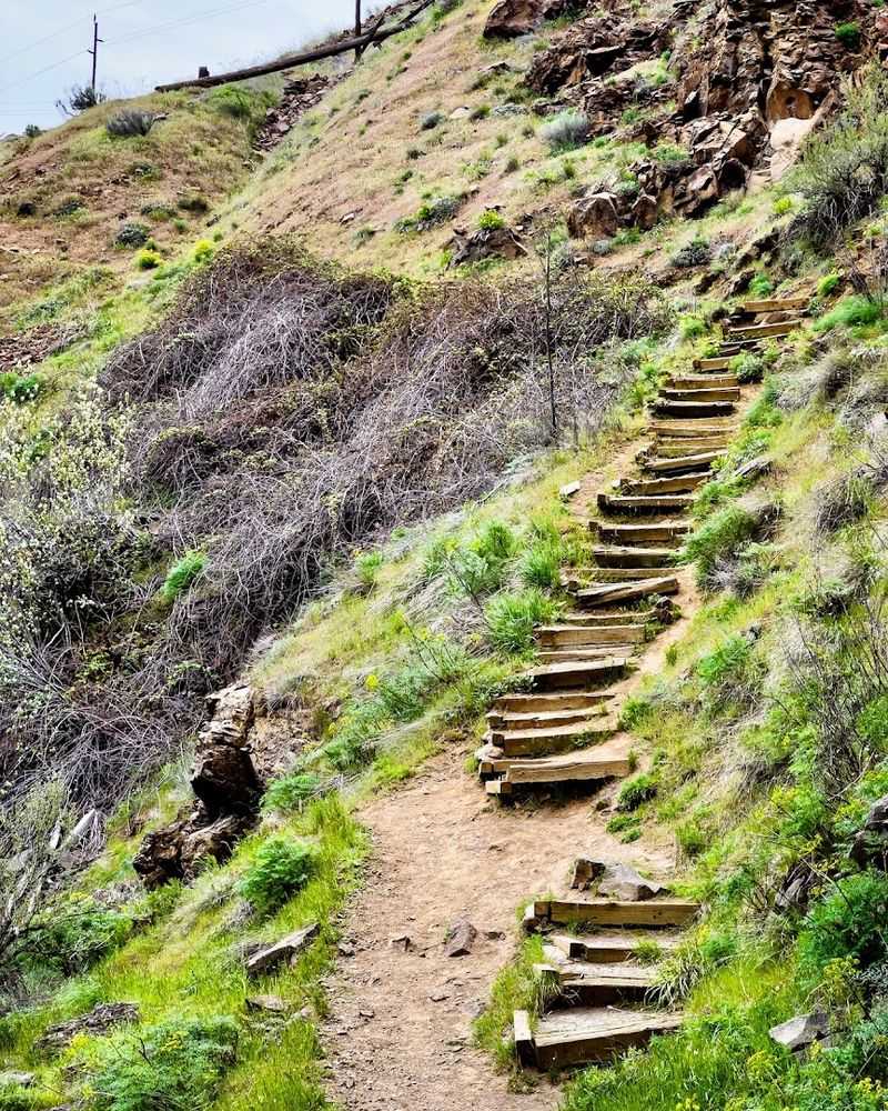 The Rugged Trail Down Into the Canyon