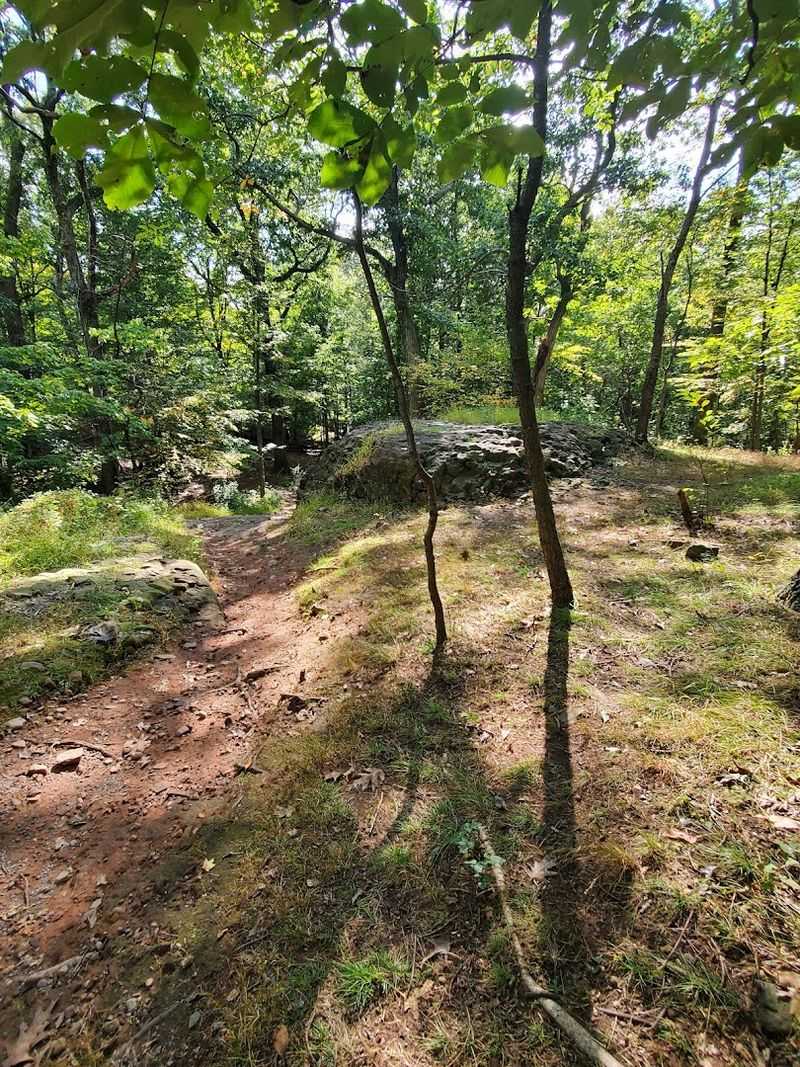Hiking Trails Through 400 Acres of Quiet Essex County Forest