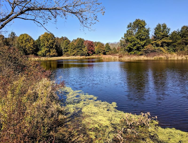 The 950-Acre Watershed Reserve: A Wilderness That Feels Endless