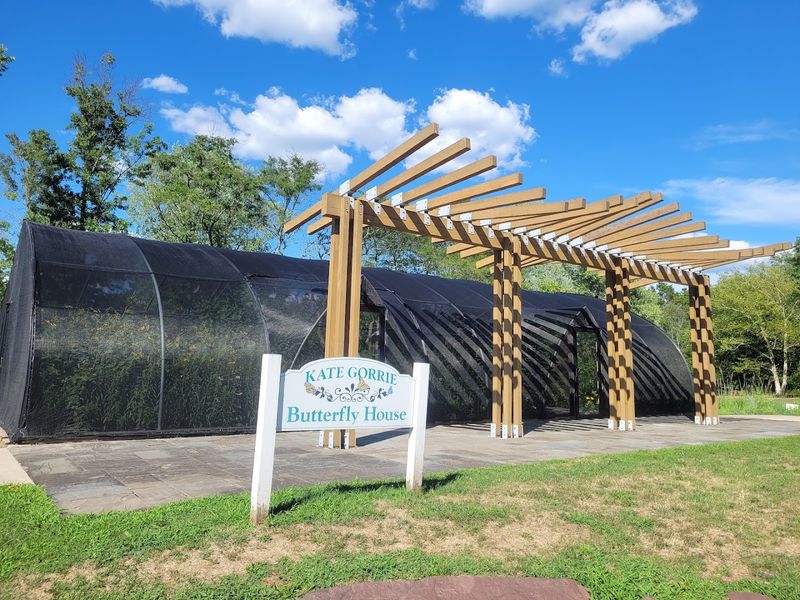 The Kate Gorrie Butterfly House: A Sanctuary Built With Heart