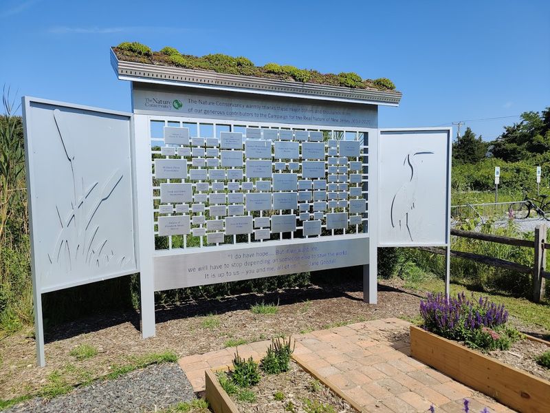 Guided Birding Programs and Educational Events