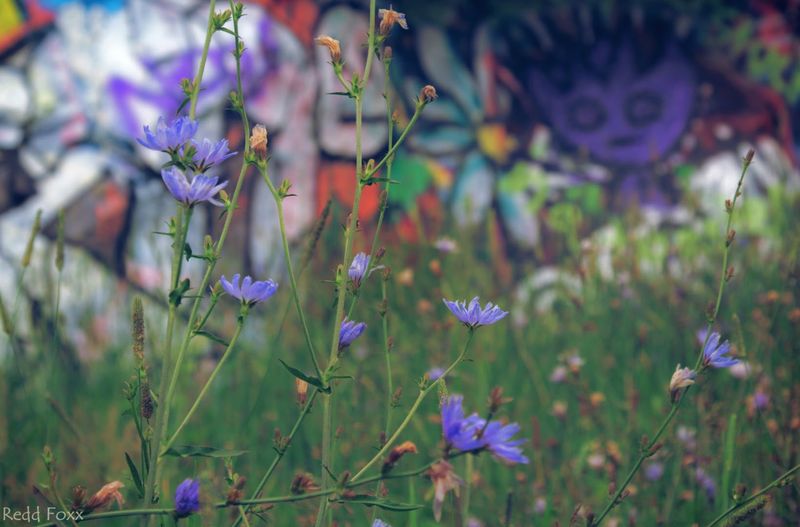 This Quarry Is Basically A Graffiti-Covered Stone Maze You Do Not Forget