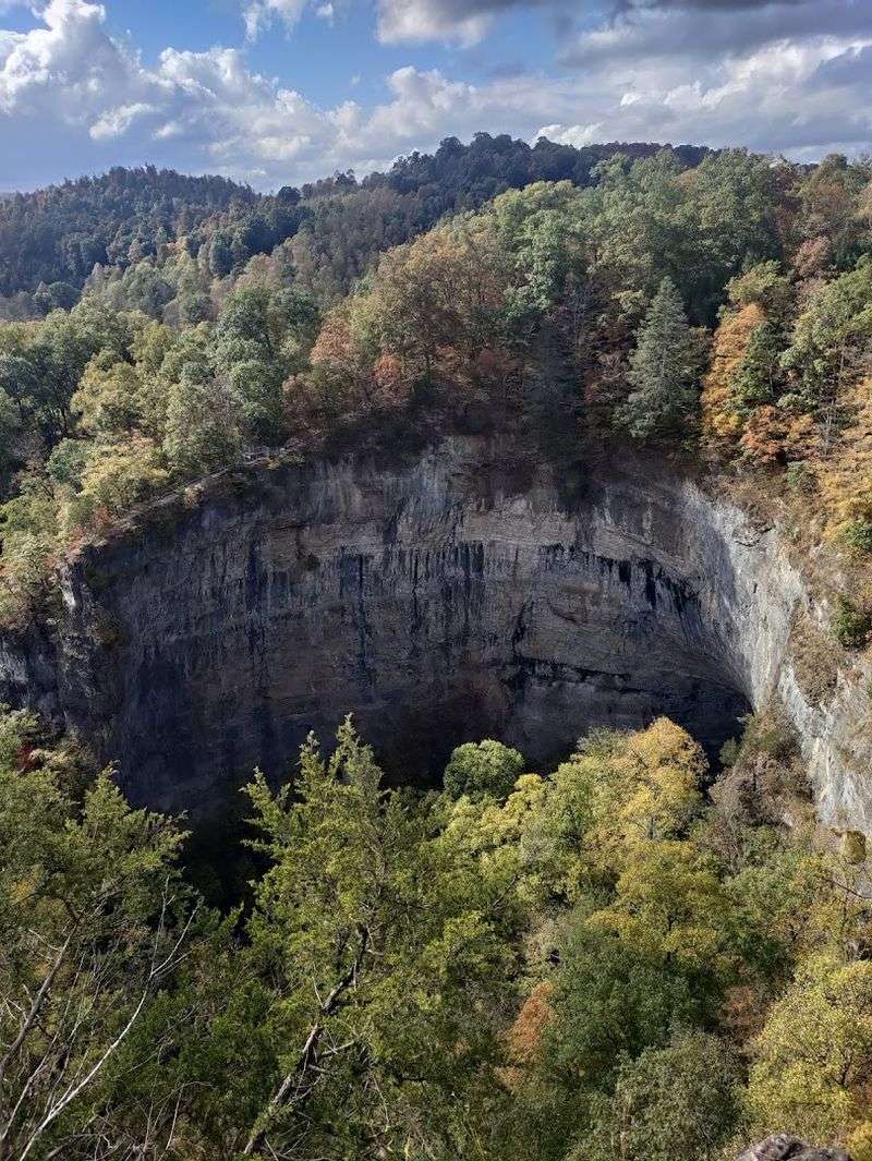 Fall Foliage Season: When the Park Becomes Absolutely Magical
