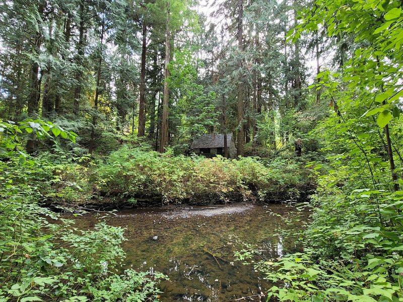 Johnson Creek and the Trails Below