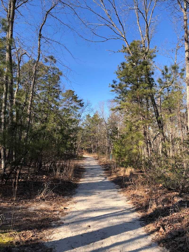 Planning Your Visit to Black Run Preserve