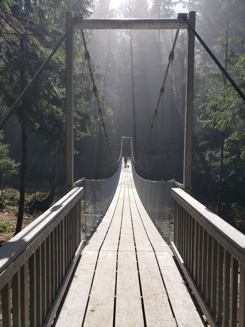 The Suspension Bridge: A Stunning Trail Finale